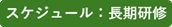 長期スケジュール