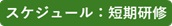 短期スケジュール