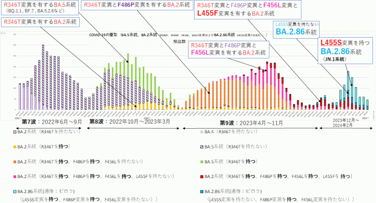 R346T変異とF486P変異とF456L変異とL455F変異に着目したグラフ（2024年3月13日現在）