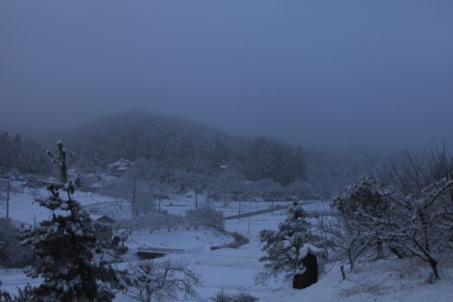 福島の雪の風景
