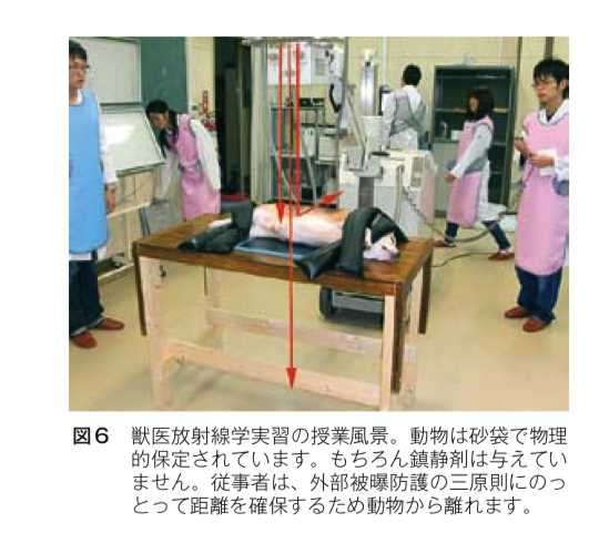 獣医放射線の防護