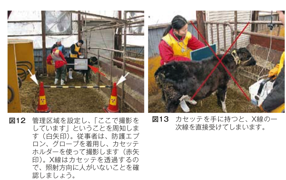 獣医放射線の防護