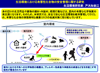 研究概要