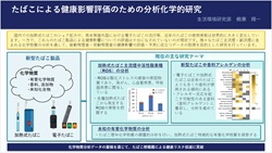 研究概要