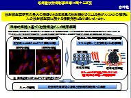 研究概要